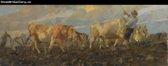 Ettore Tito Oxen Plowing